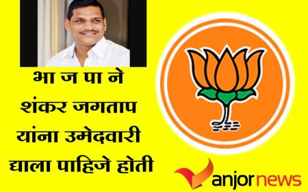 भा ज पा चिंचवड विदानसभेत पोटनिवडणुकीसाठी शंकर जगताप यांना उमेदवारी दिली पाहिजे होती ?