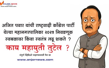 अजित पवार यांची राष्ट्रवादी काँग्रेस पार्टी स्वबळा वर महानगरपालिका निवडणुक २०२५ लढवेल ? महायुती तुटेल ? पहा आमचे राजकीय विश्लेषणआणि भाकीत !